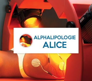 Alphalipologie-Alice